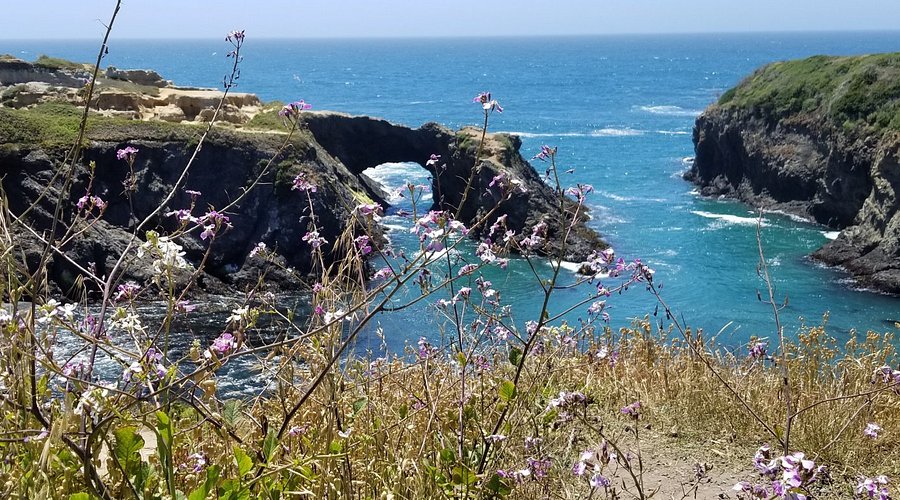 mendocino-coast.jpg