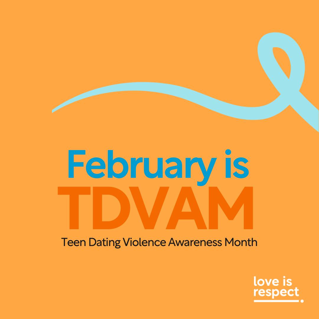 TDVAM2.jpg